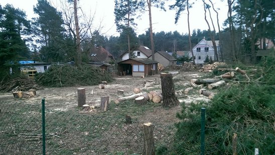 Bauherrenstory-bauherrenbericht-erfahrung-familie-n-koenigs-wusterhausen-flair-125-02